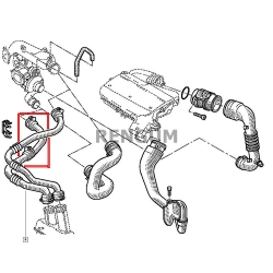 Rura turbo Renault Megane Scenic I 1.9D 8200065740-6912