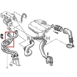 Rura turbo Renault Megane Scenic I 1.9D 8200065740-14854